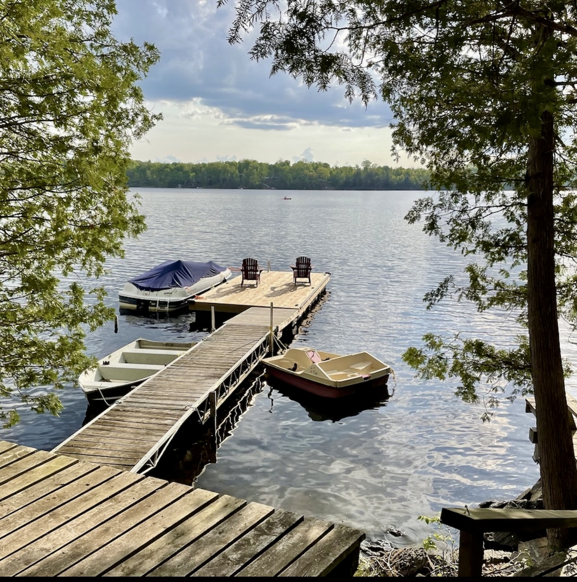 Clean, Deep, Swimmable waterfront with walk in shoreline